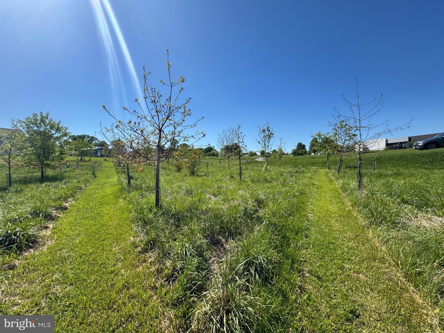 15491 Barnesville Rd Property Photo 10