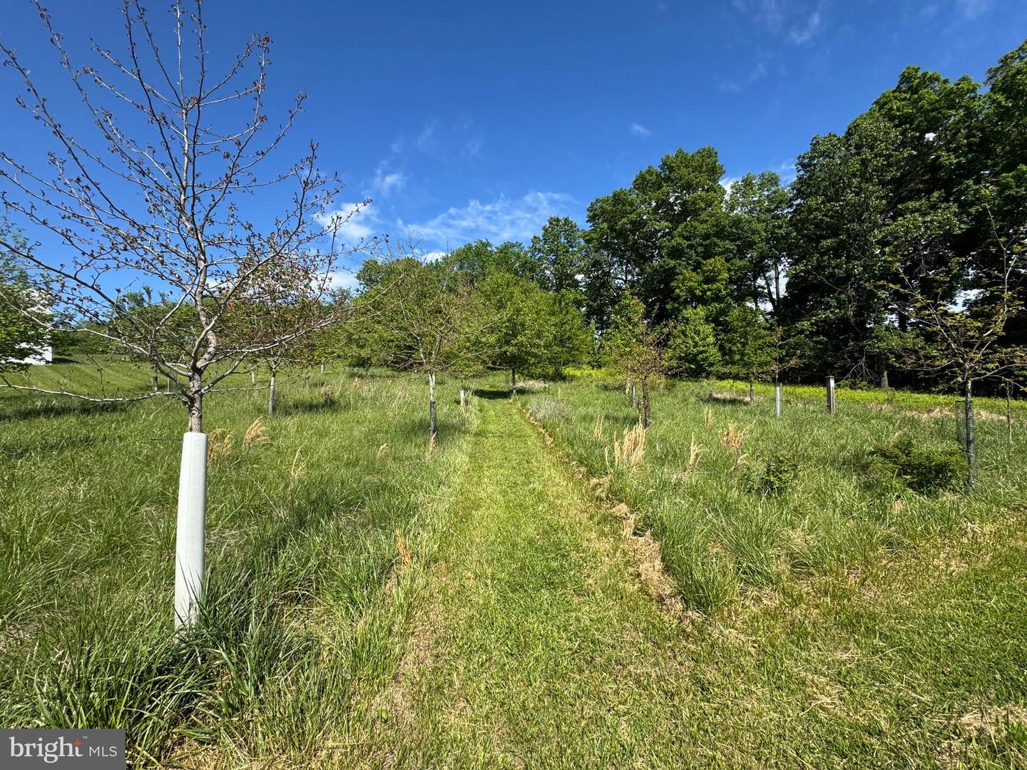 15491 Barnesville Rd Property Photo 11