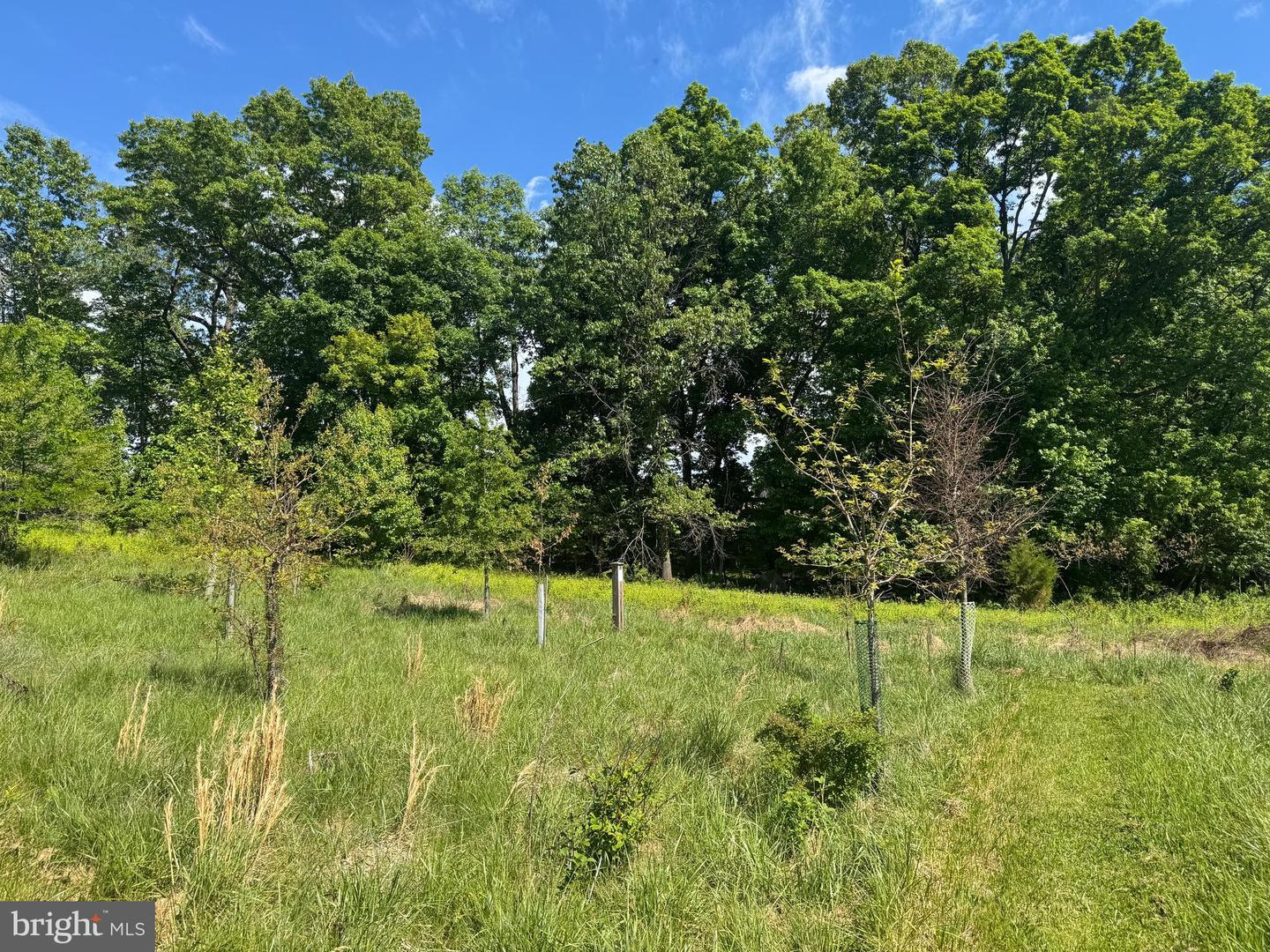 15491 Barnesville Rd Property Photo 12