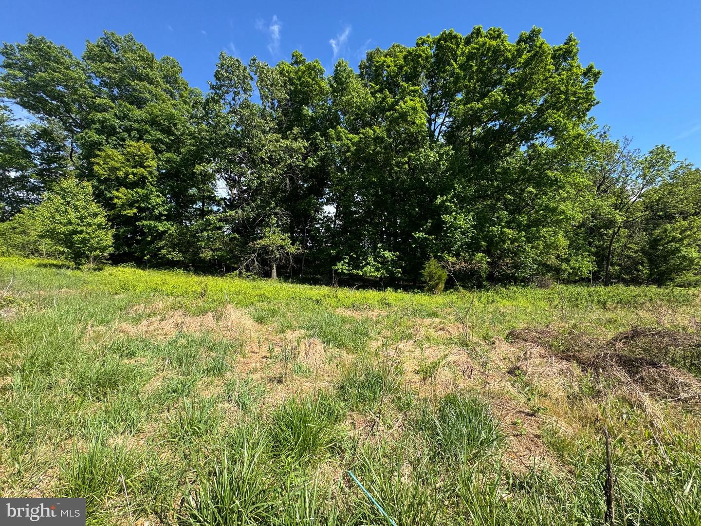 15491 Barnesville Rd Property Photo 14