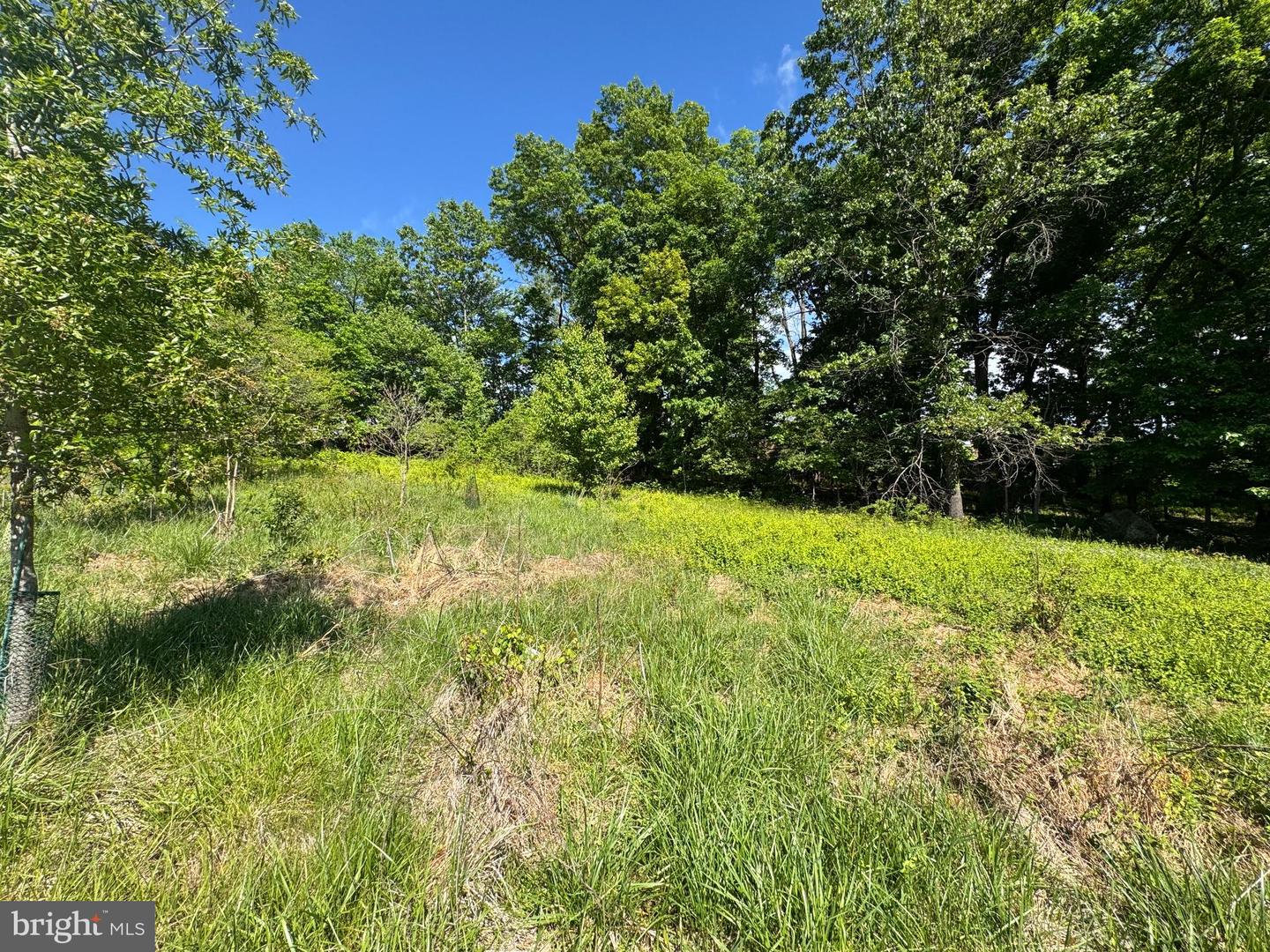 15491 Barnesville Rd Property Photo 15