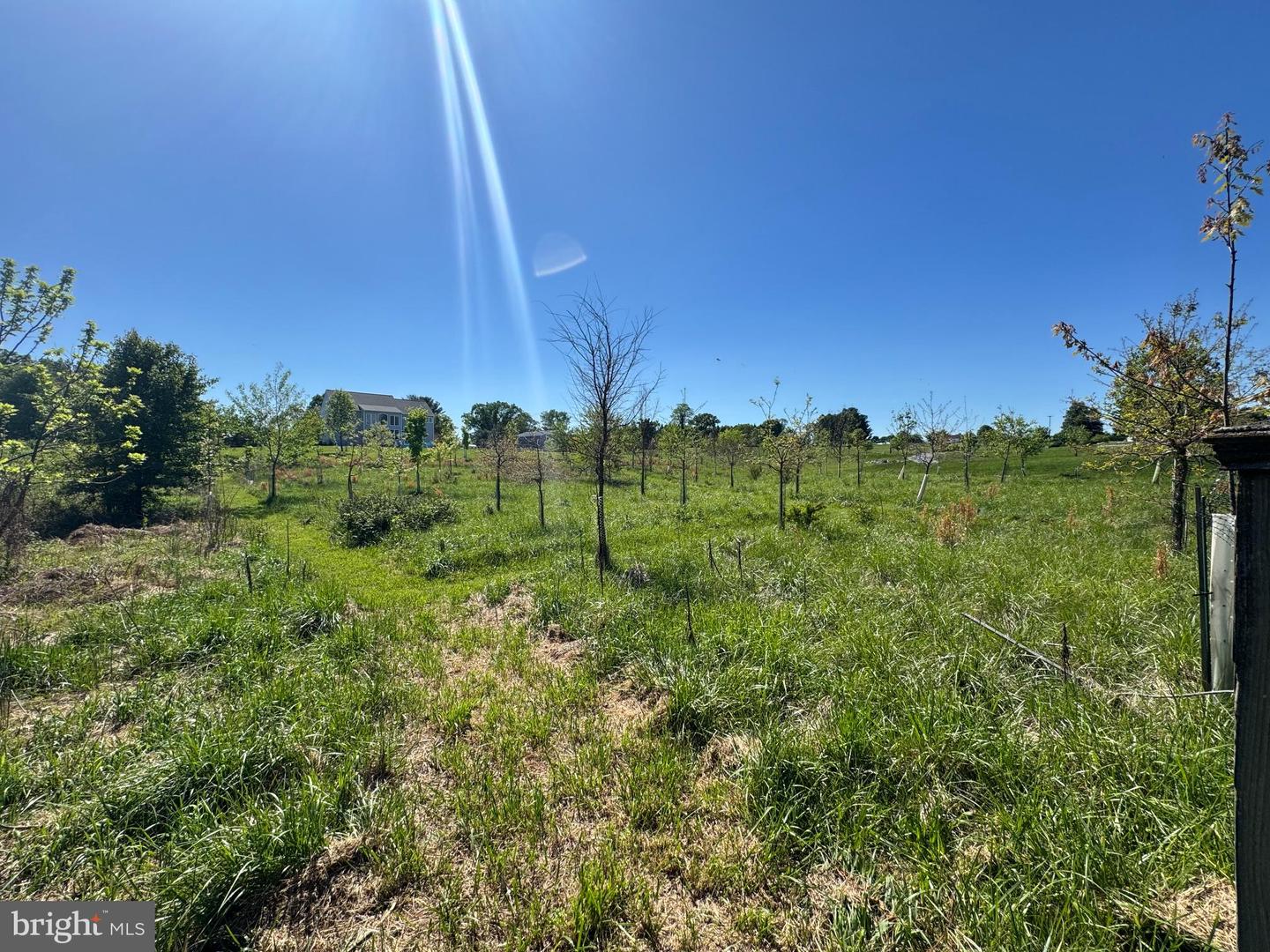 15491 Barnesville Rd Property Photo 17