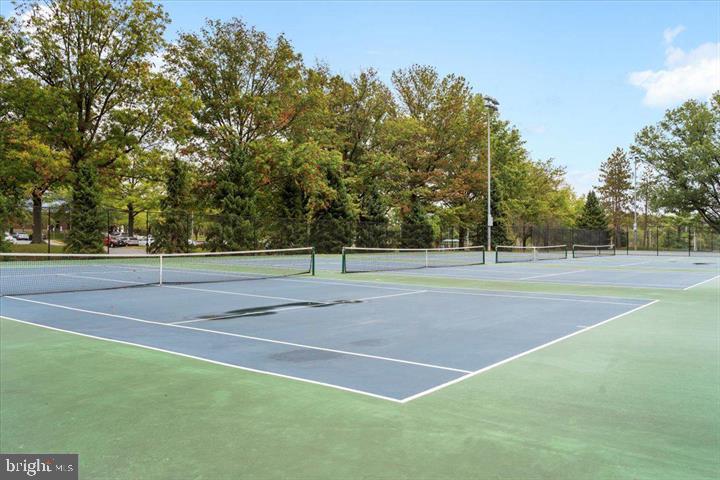 3835 Doc Berlin Dr #42 Property Photo 22