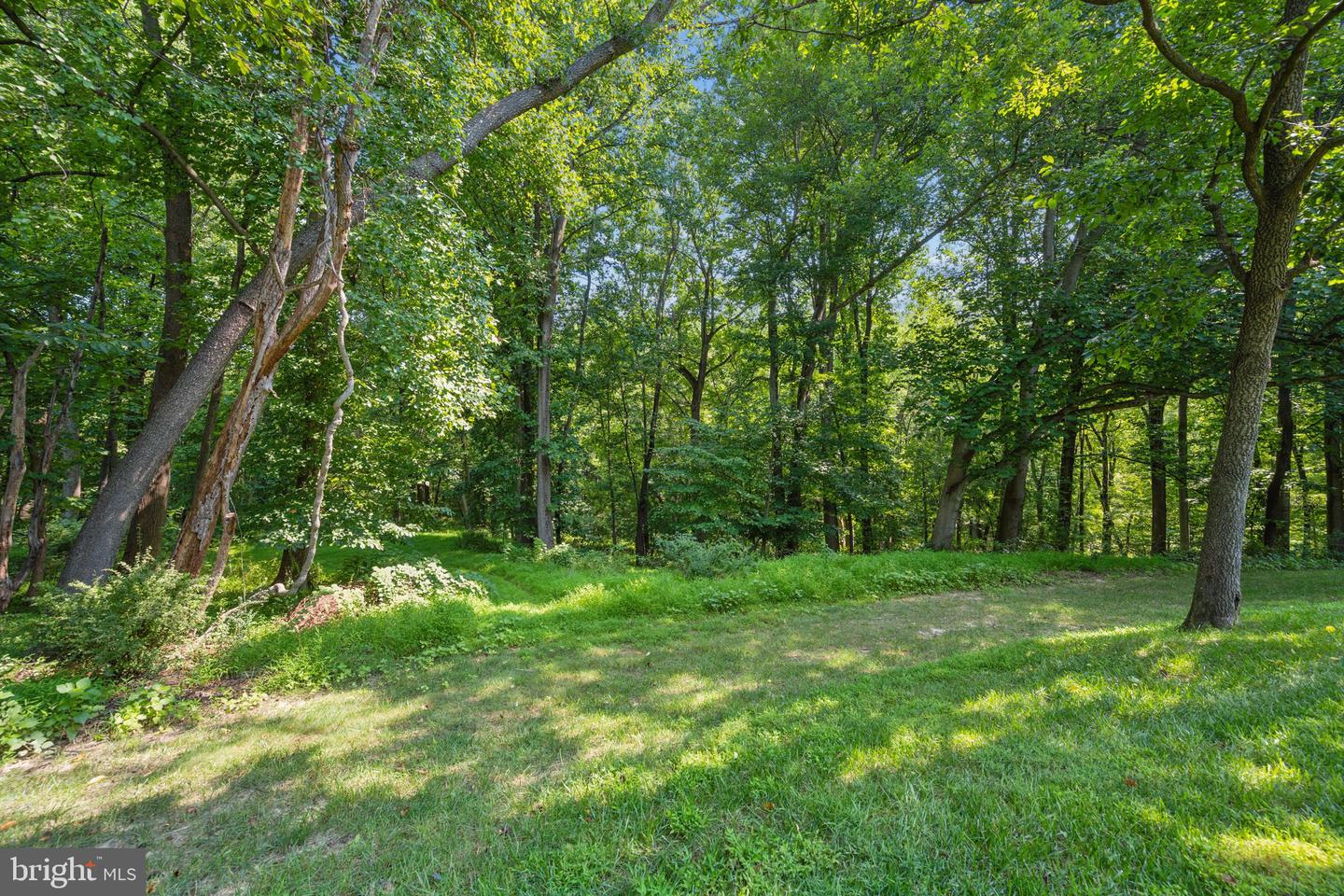 17026 Barn Ridge Dr Property Photo 88
