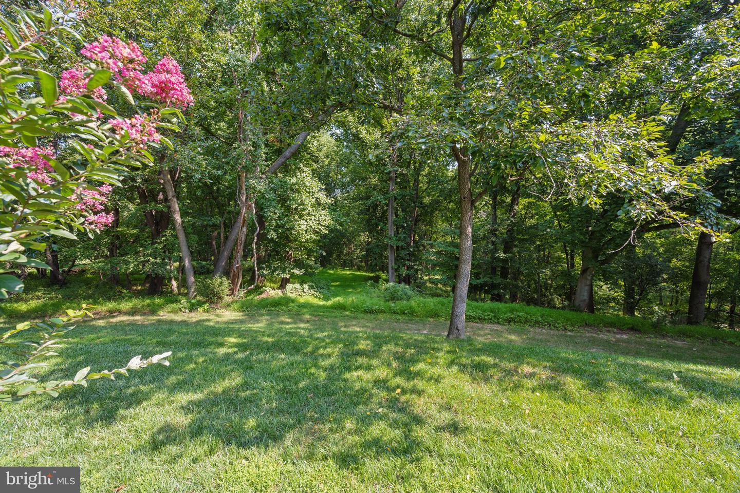 17026 Barn Ridge Dr Property Photo 90