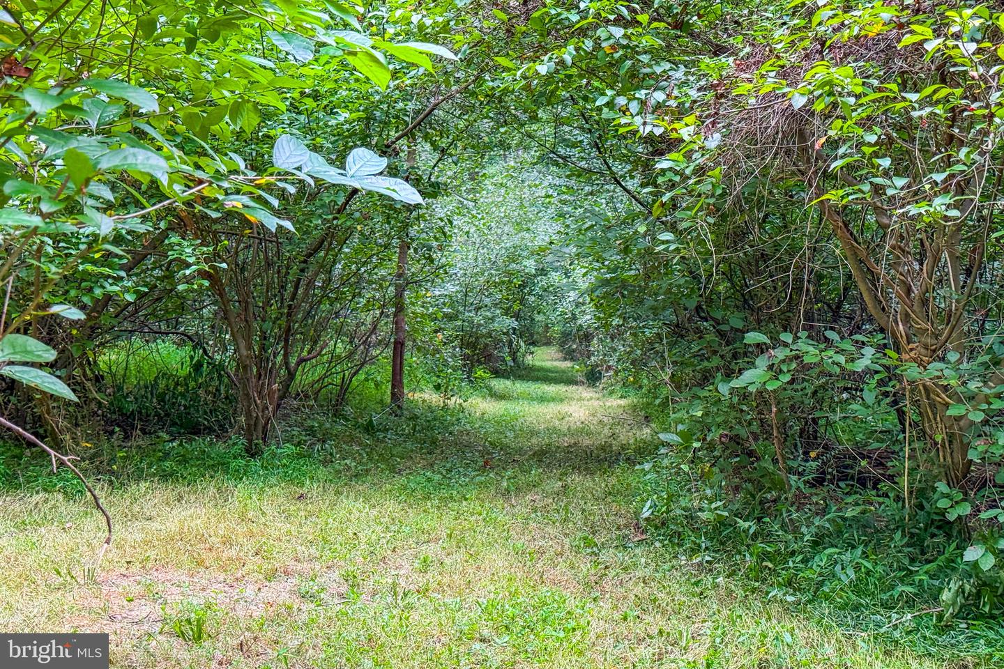 14225 Poplar Hill Rd Property Photo 67