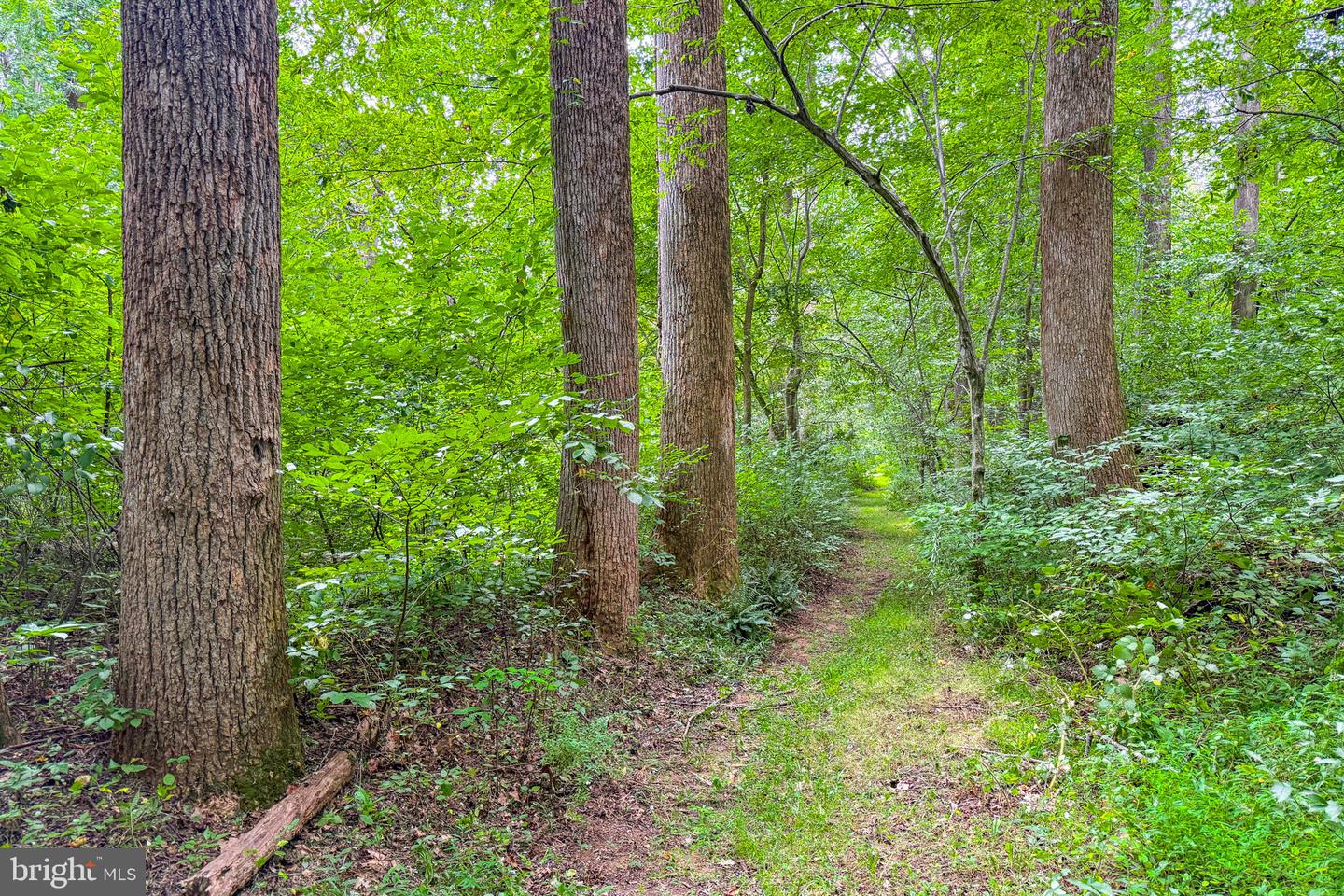 14225 Poplar Hill Rd Property Photo 68