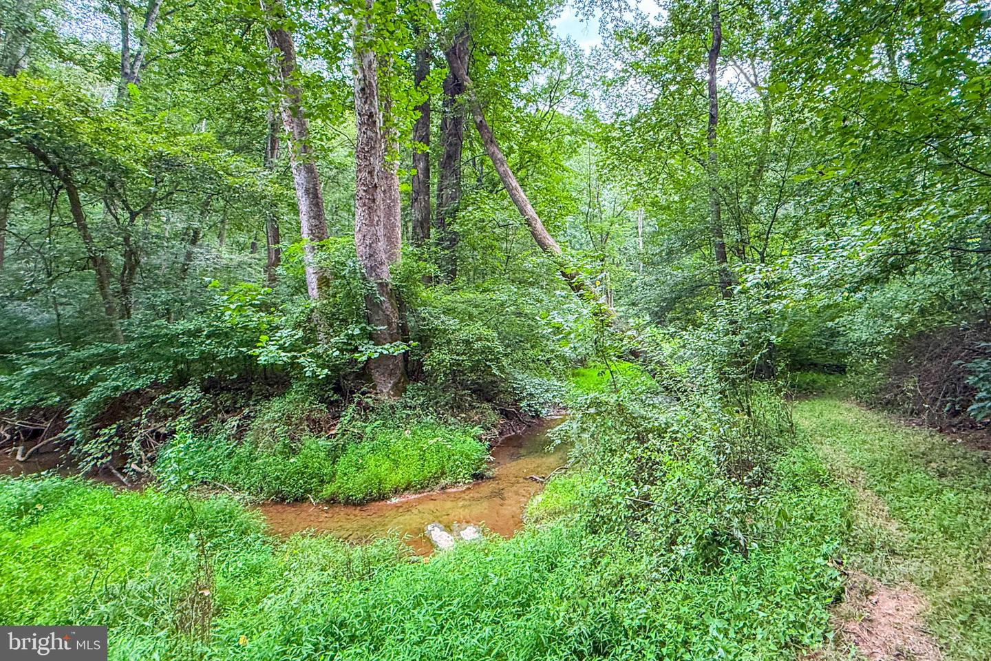 14225 Poplar Hill Rd Property Photo 71