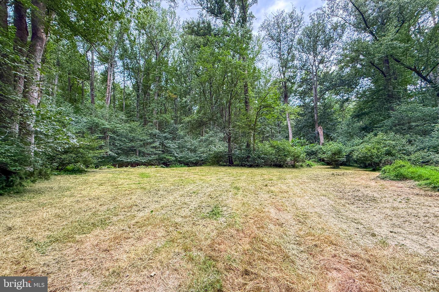 14225 Poplar Hill Rd Property Photo 75