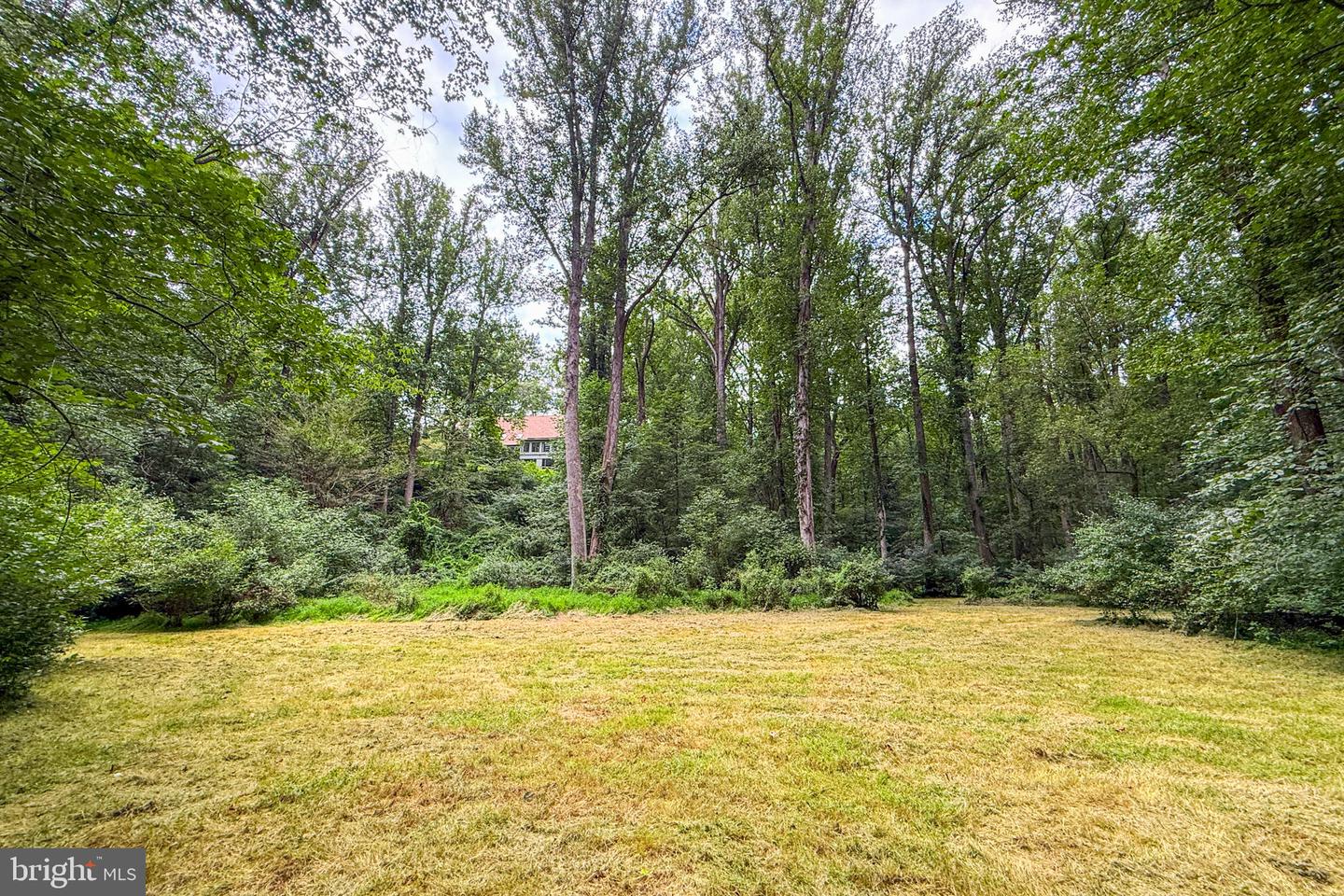 14225 Poplar Hill Rd Property Photo 76