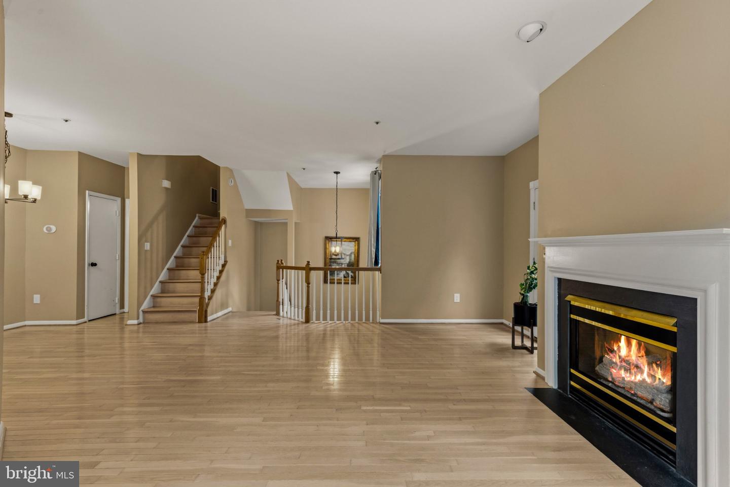 10344 Royal Woods Ct Property Photo 7
