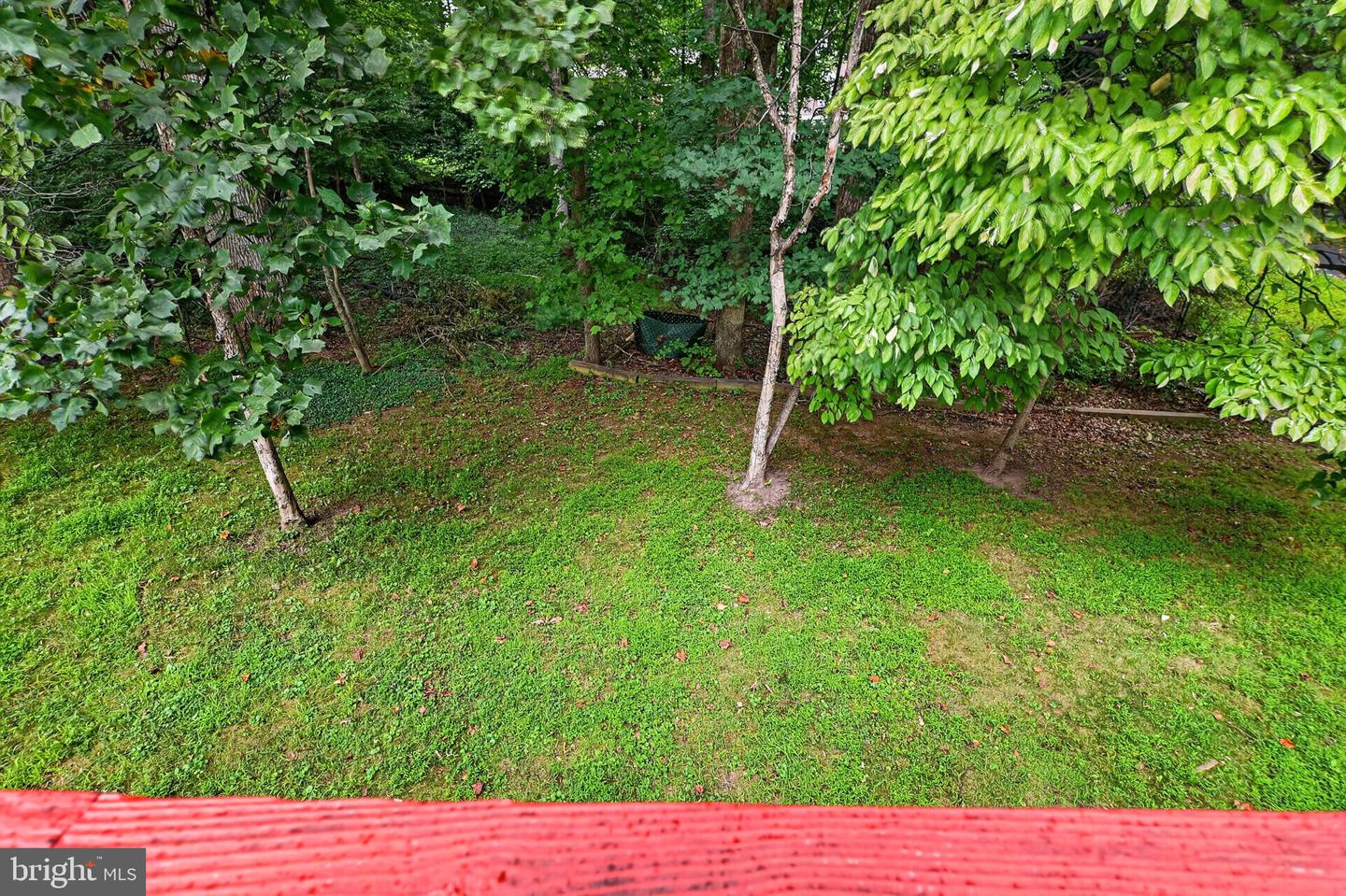 14929 Notley Rd Property Photo 56