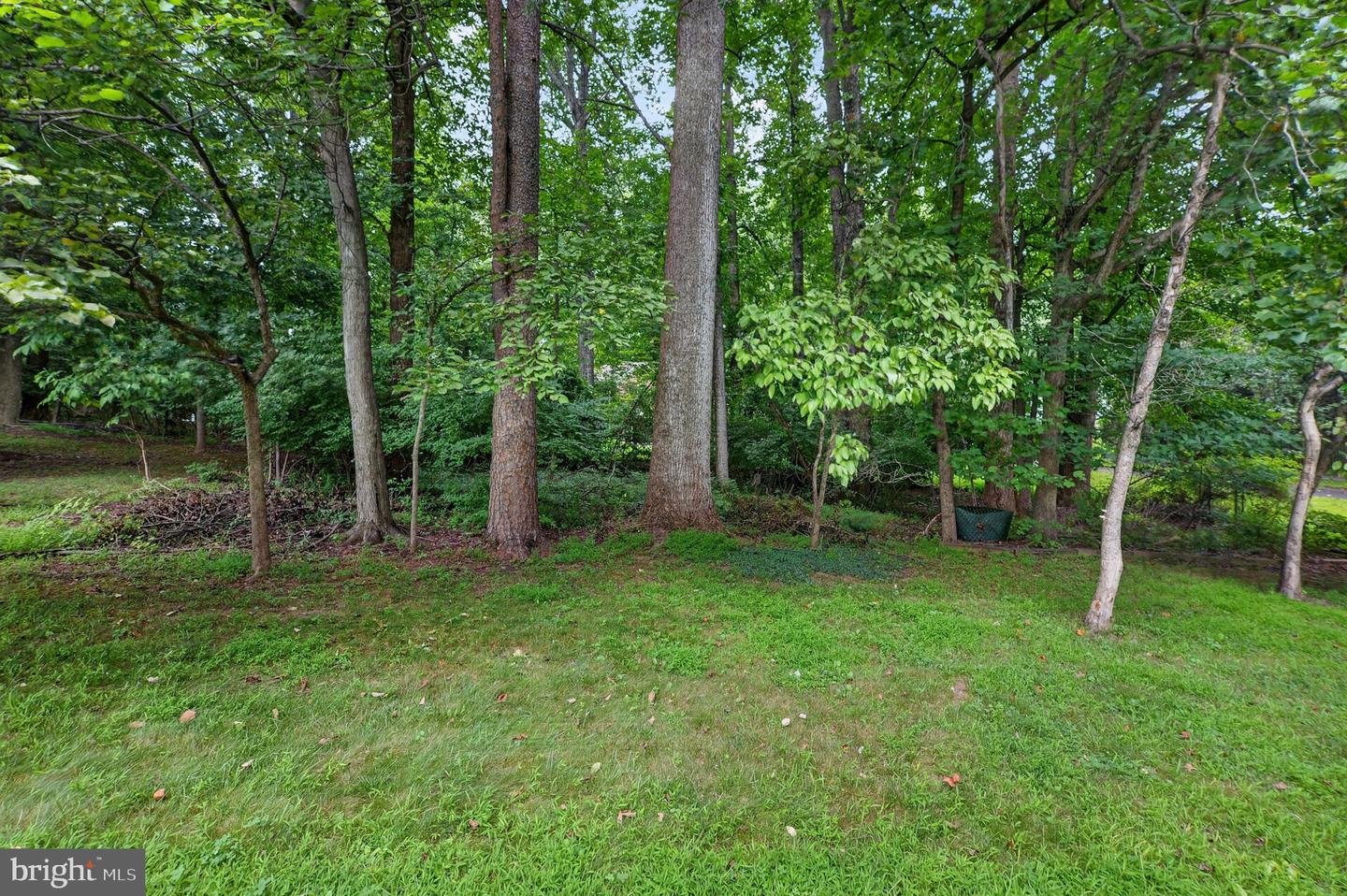 14929 Notley Rd Property Photo 59