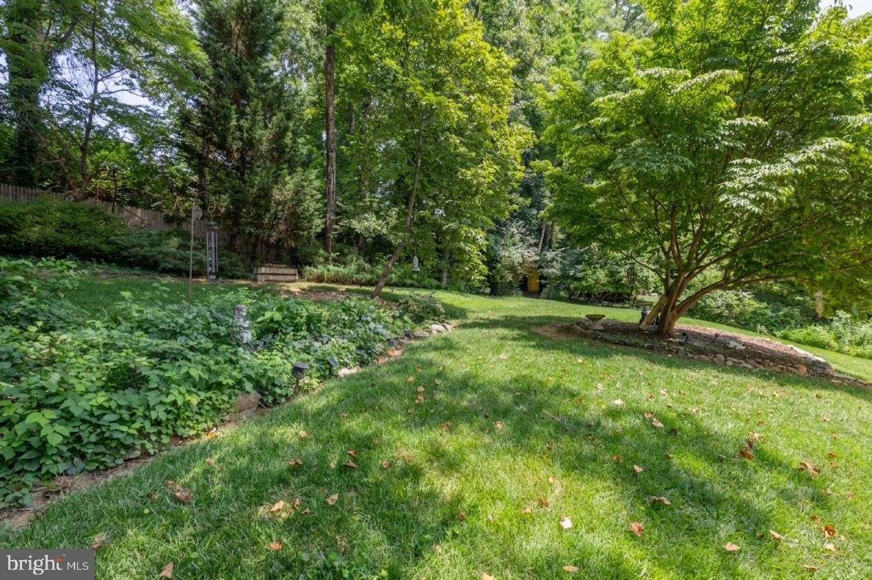 11408 Orleans Way Property Photo 41