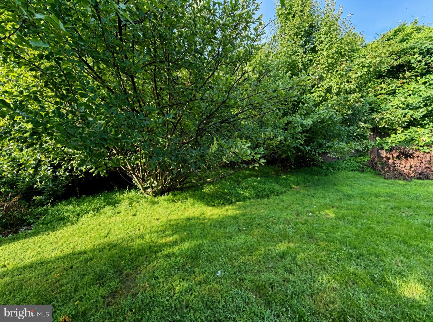 14949 Carriage Square Dr Property Photo 19