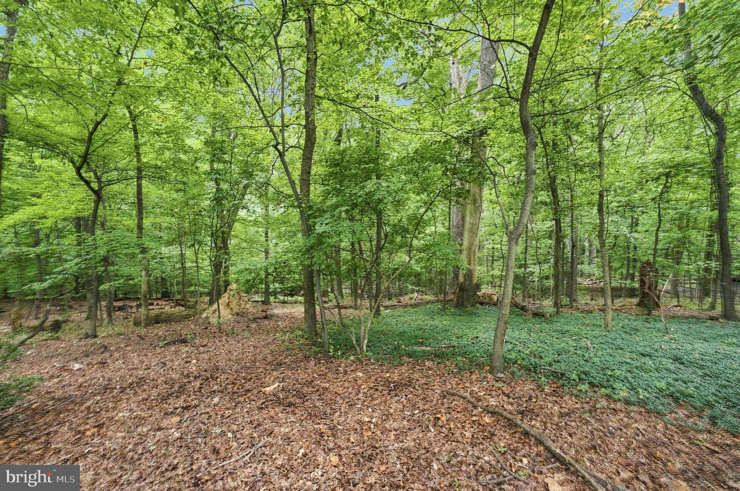 10622 Mantz Rd Property Photo 48
