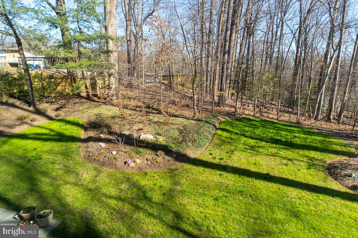 11905 Viewcrest Ter Property Photo 51