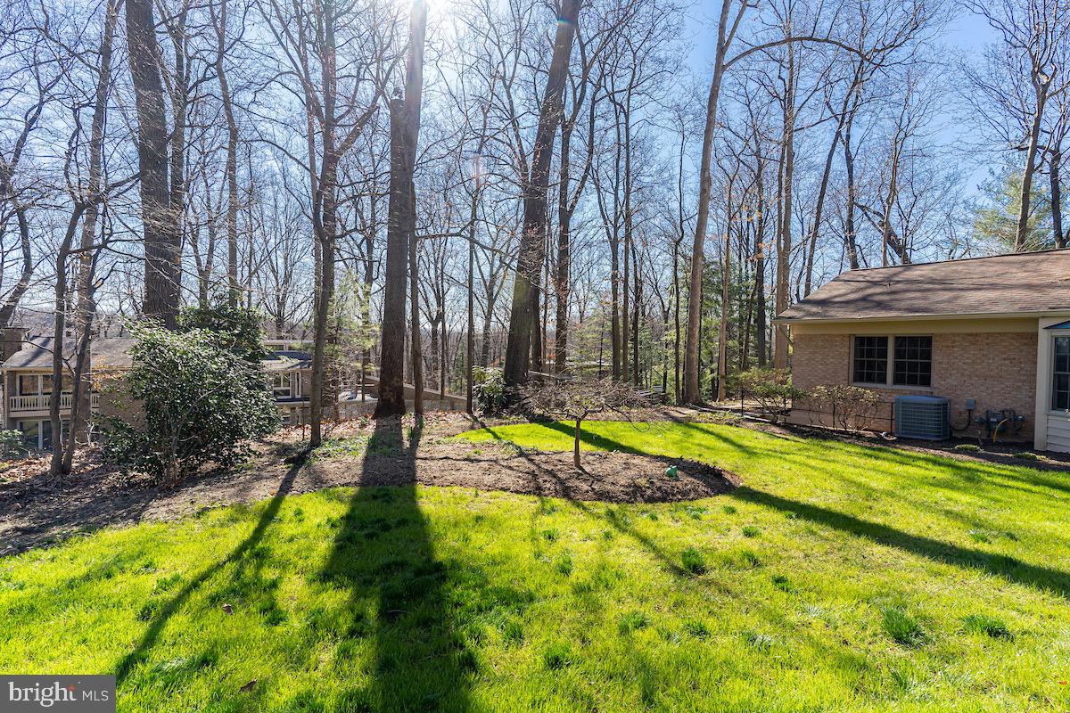 11905 Viewcrest Ter Property Photo 52