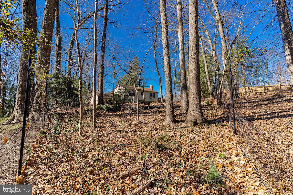 11905 Viewcrest Ter Property Photo 59