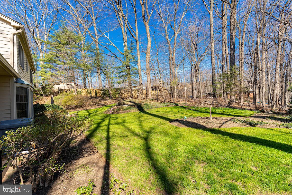 11905 Viewcrest Ter Property Photo 61