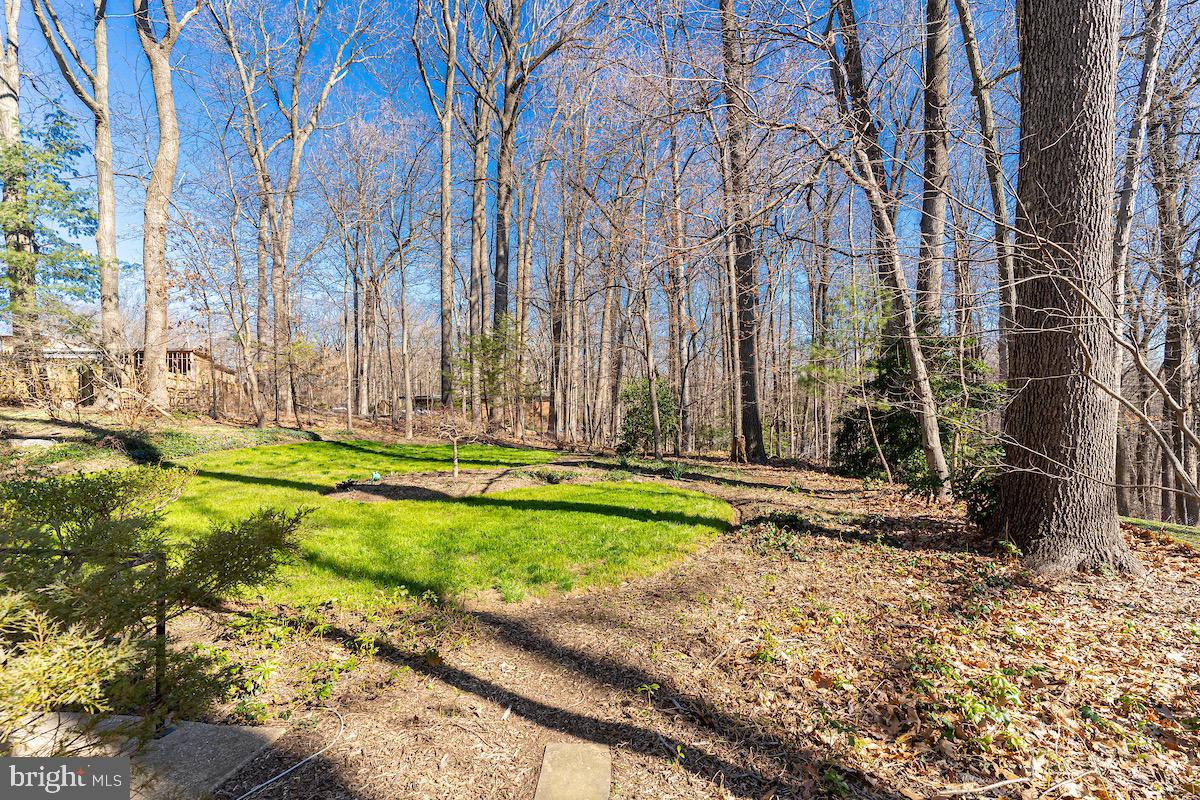 11905 Viewcrest Ter Property Photo 62