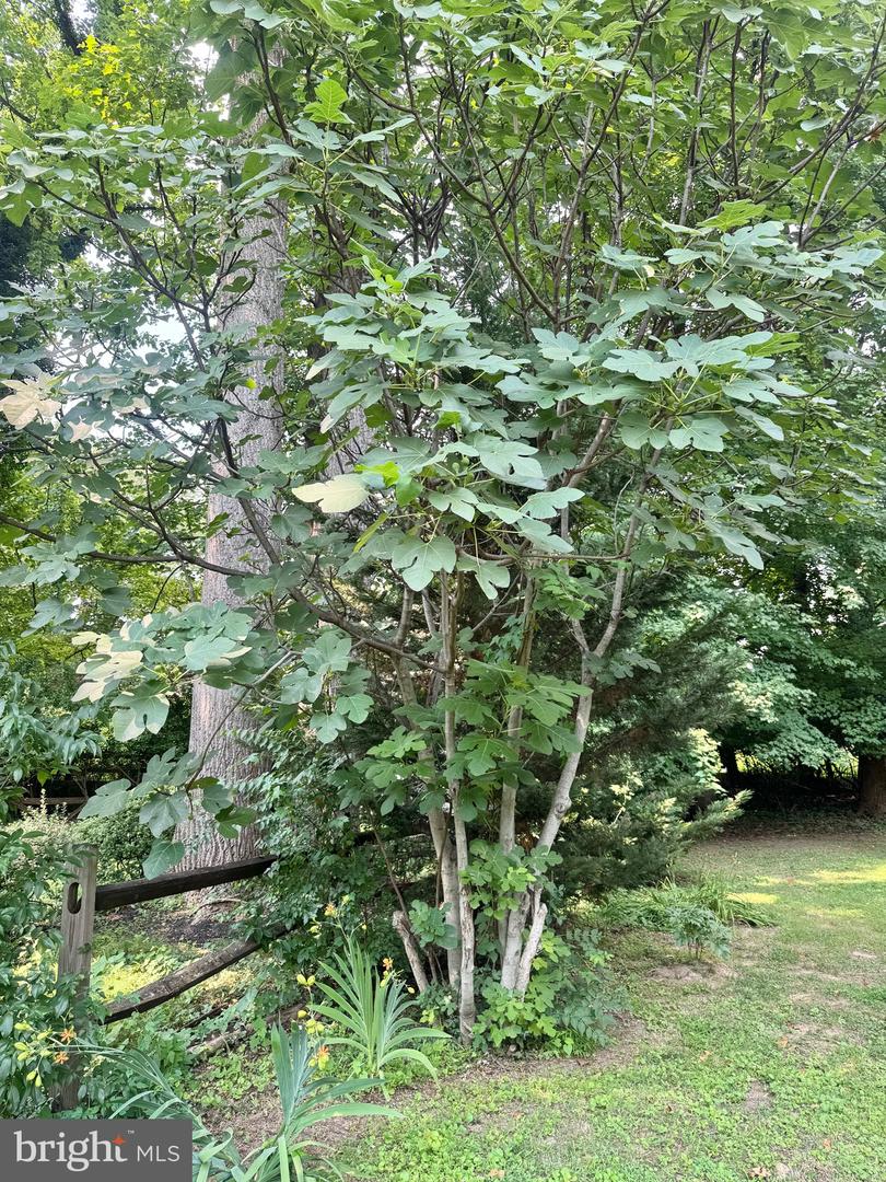 5701 Radnor Ct Property Photo 48