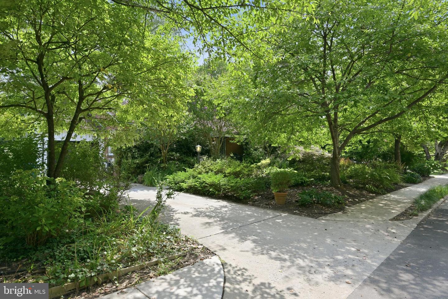 5515 Trent St Property Photo 2