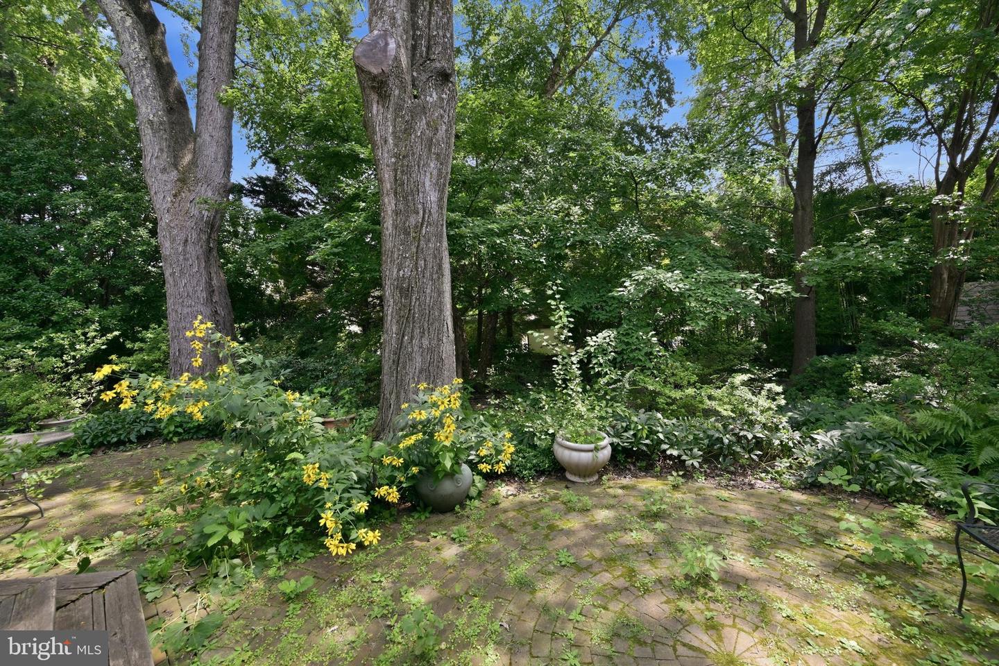 5515 Trent St Property Photo 27