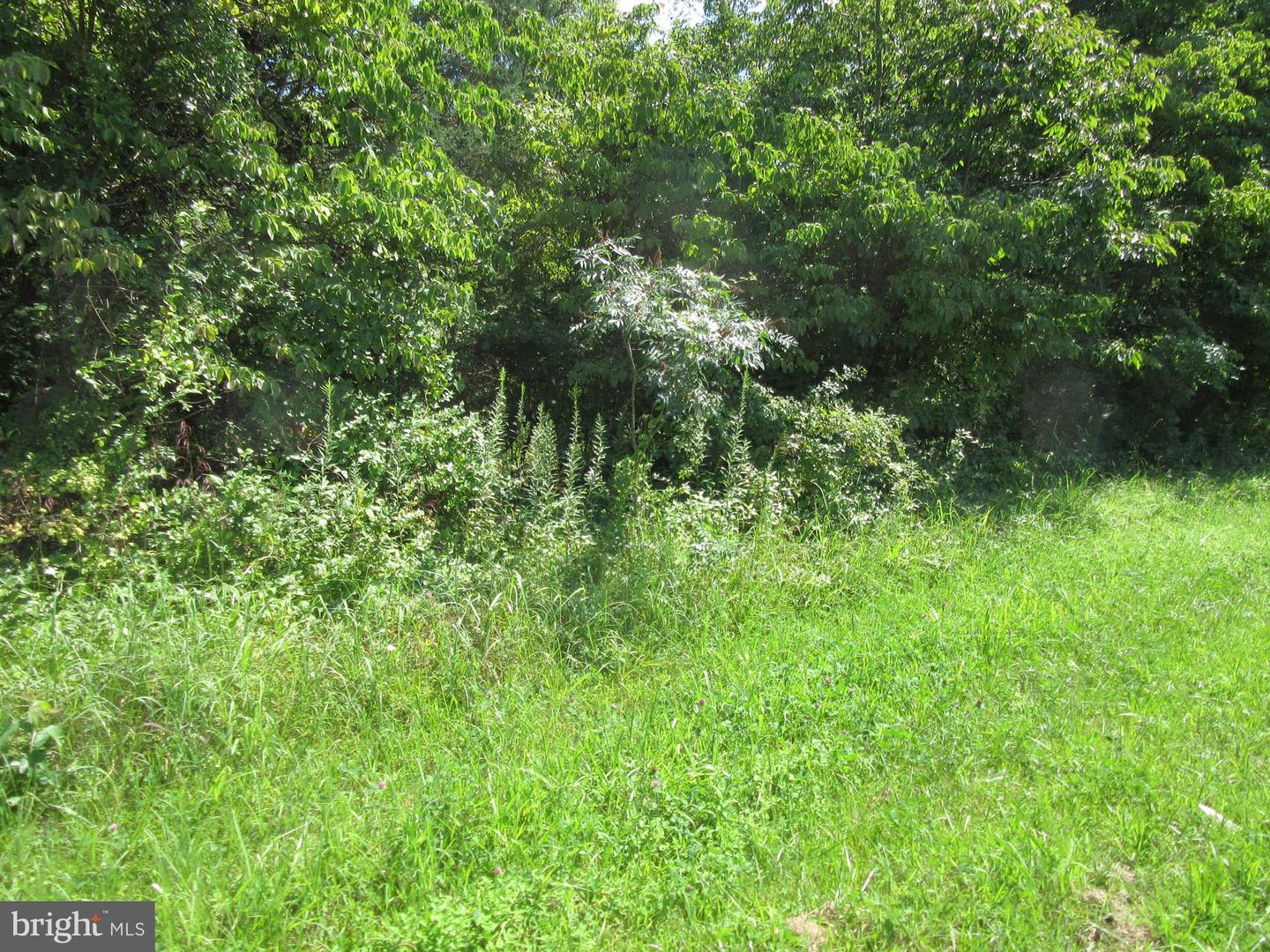 Columbia Pike Property Photo 3