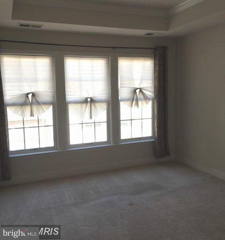 12838 Ethel Rose Way Property Photo 7