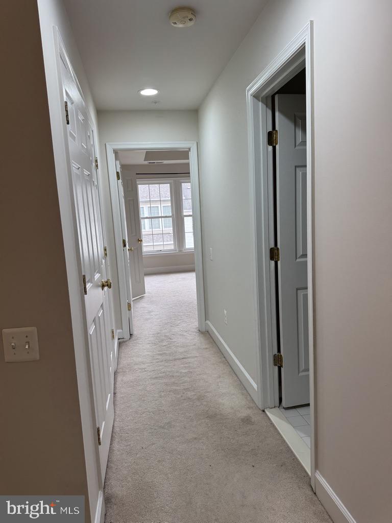 12838 Ethel Rose Way Property Photo 22