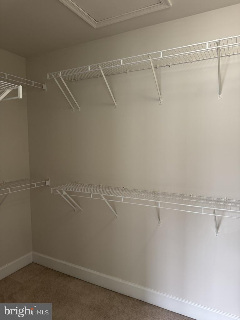 12838 Ethel Rose Way Property Photo 28