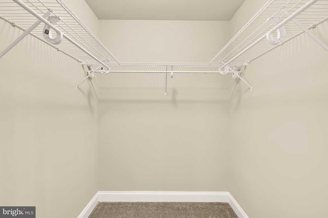 12104 Songbird Ln Property Photo 20