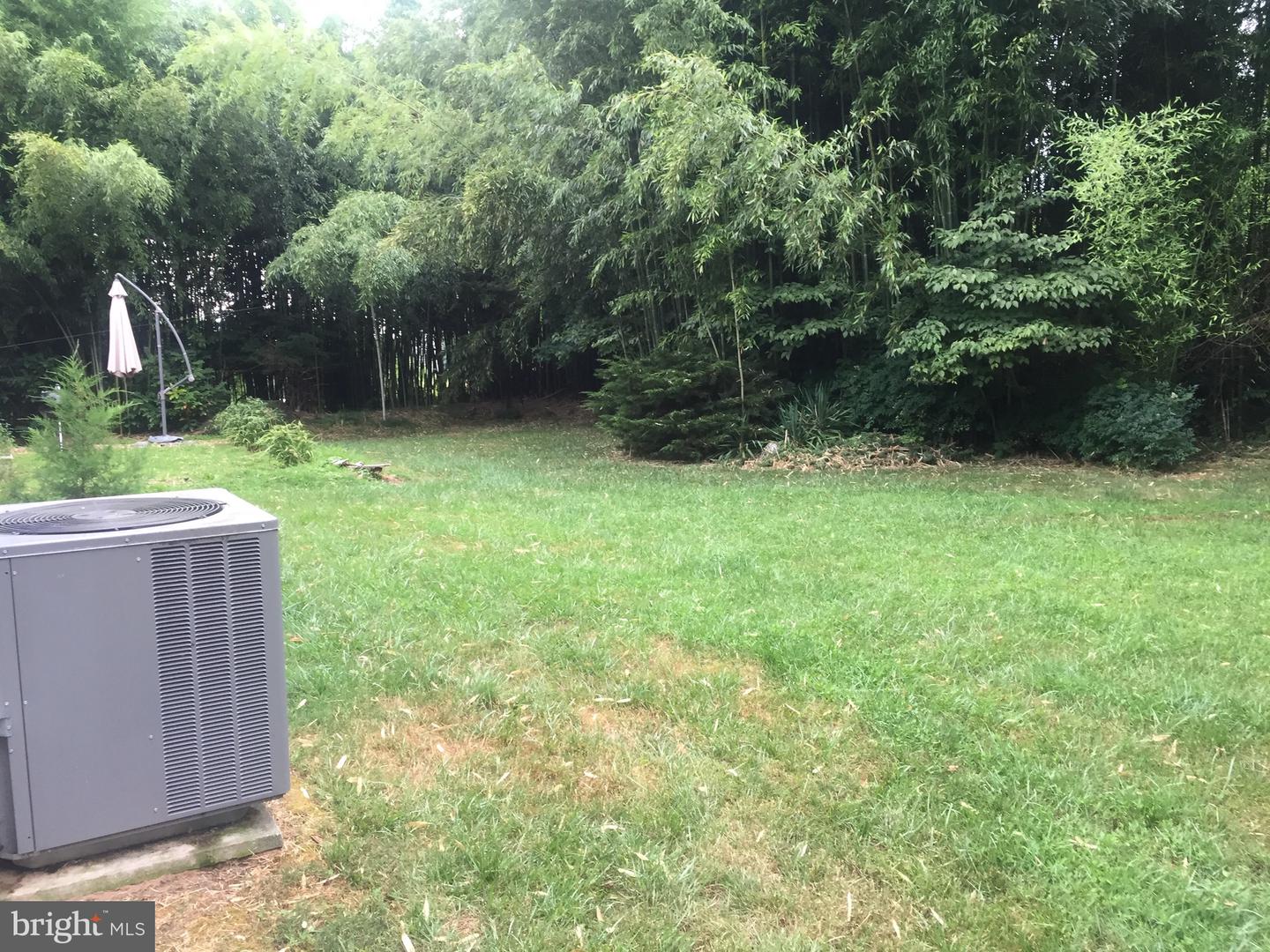 9917 Betteker Ln Property Photo 6