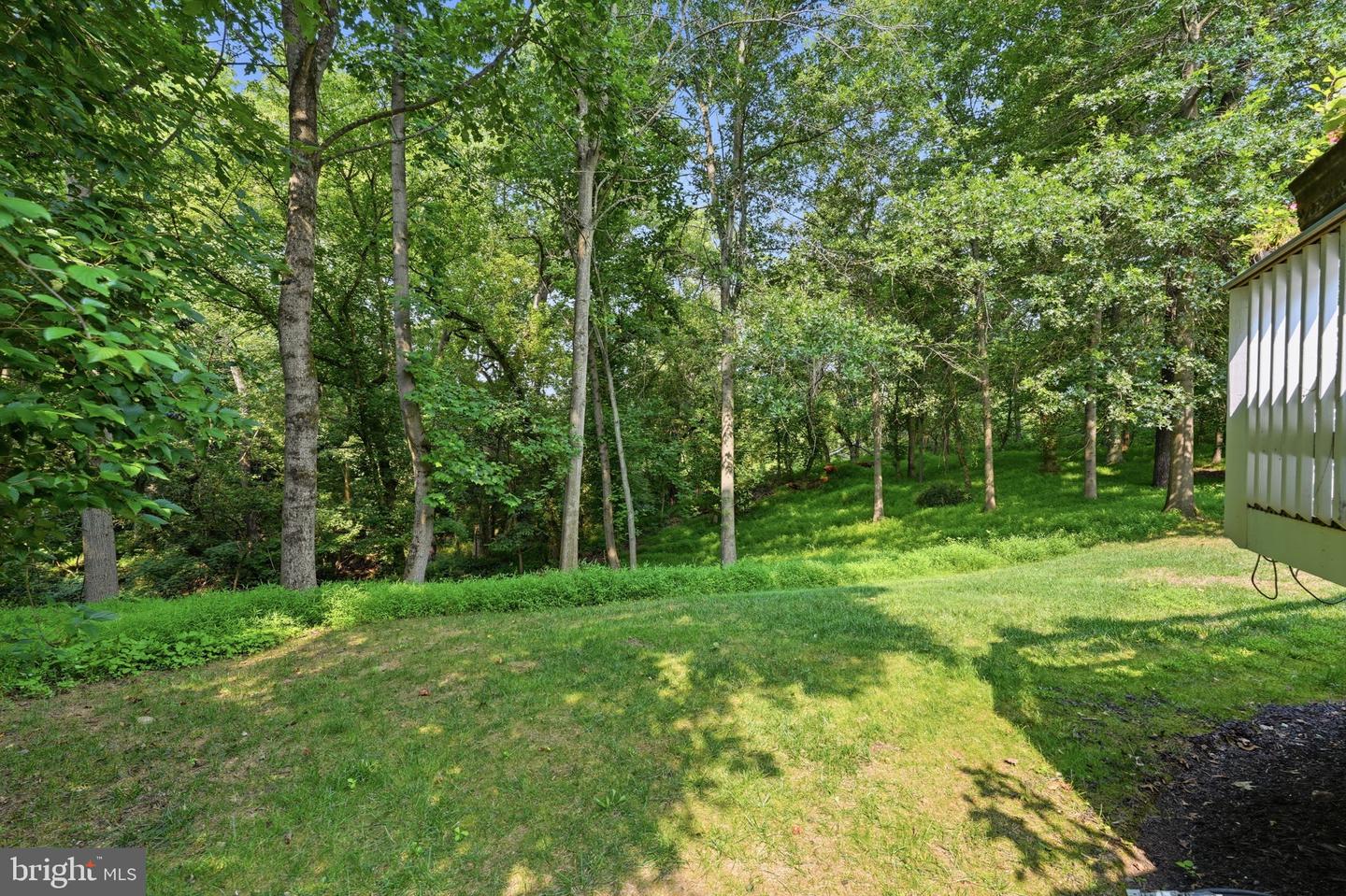11640 Piney Spring Ln Property Photo 37