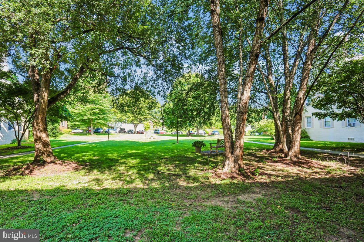 2406 Colston Dr #301-c Property Photo 36