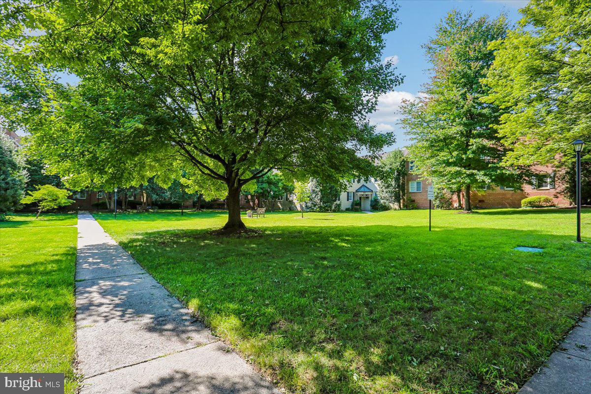 2406 Colston Dr #301-c Property Photo 39