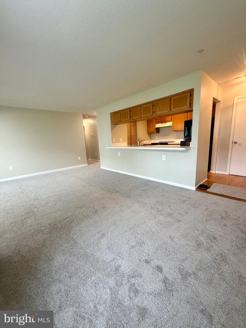 2703 Snowbird Ter #8-15 Property Photo 4