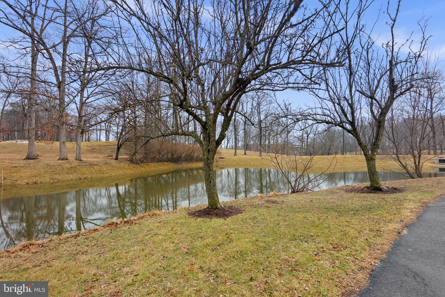 15101 Interlachen Dr #1-705 Property Photo 14