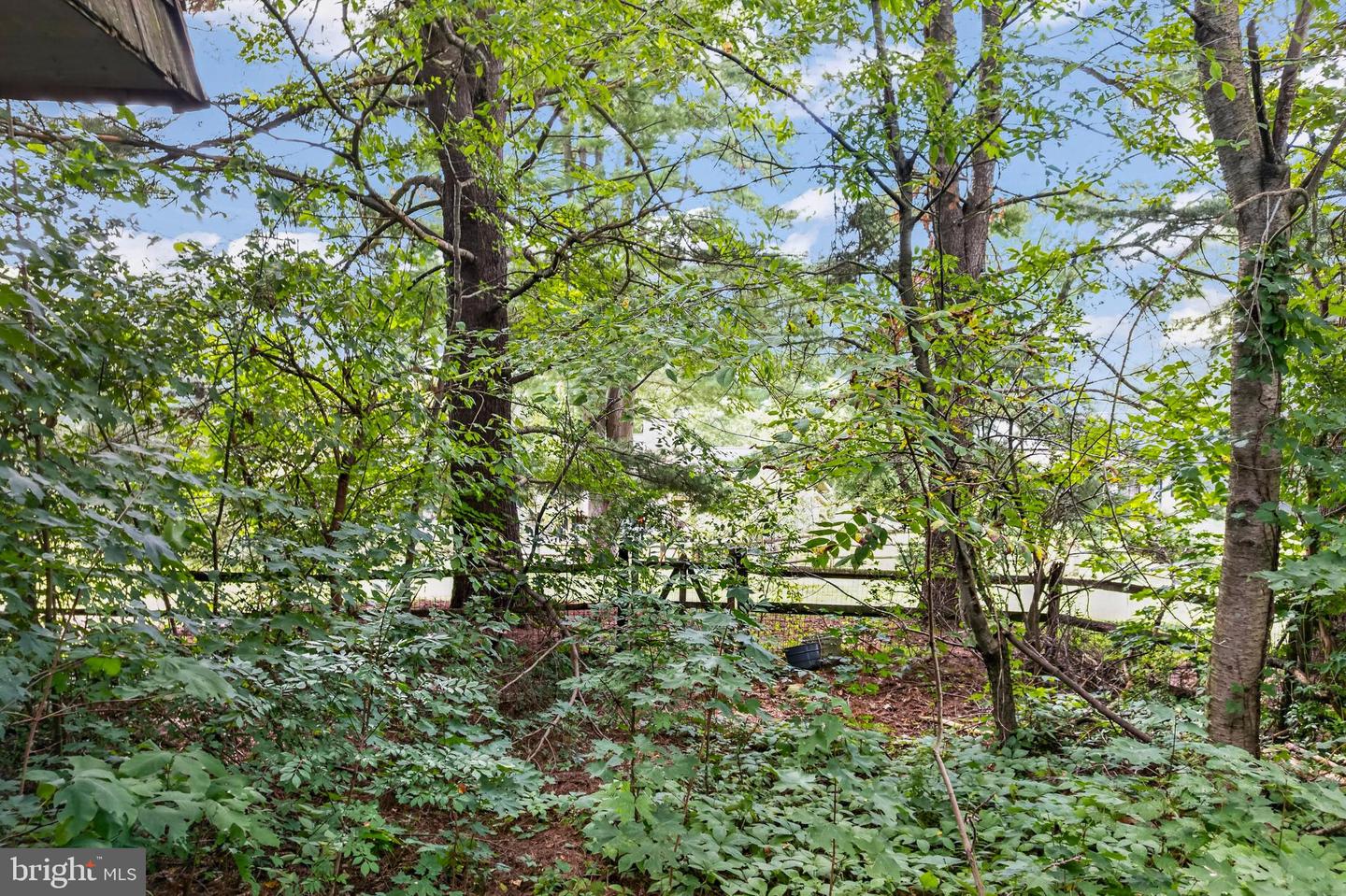 10331 Battleridge Pl Property Photo 44