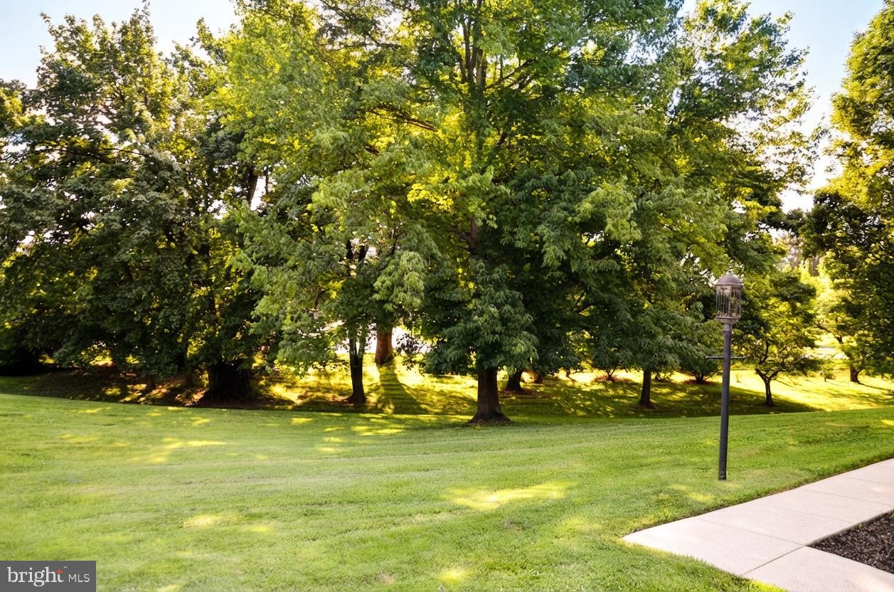 13813 Golden Fields Ct Property Photo 57