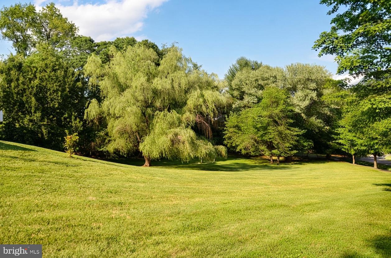 13813 Golden Fields Ct Property Photo 59