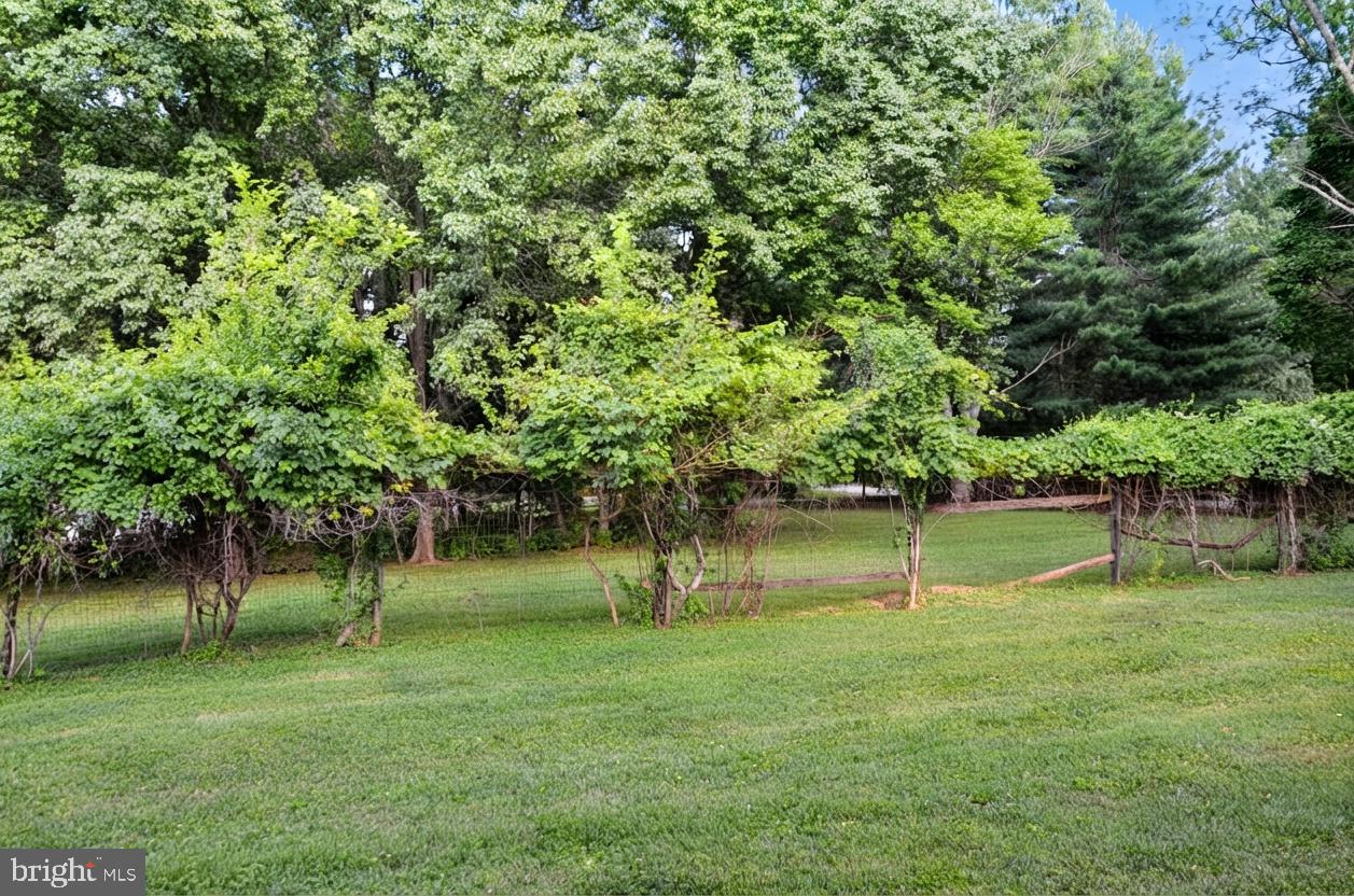 13813 Golden Fields Ct Property Photo 64