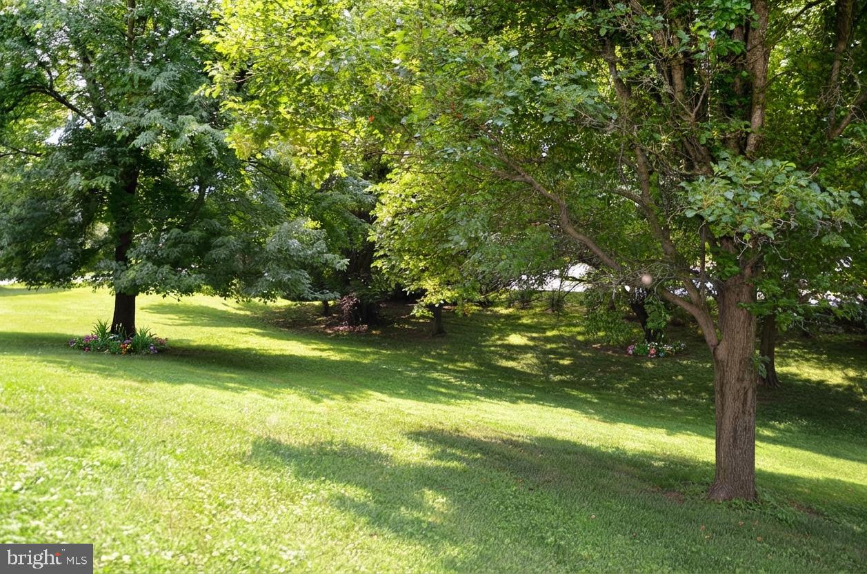 13813 Golden Fields Ct Property Photo 65