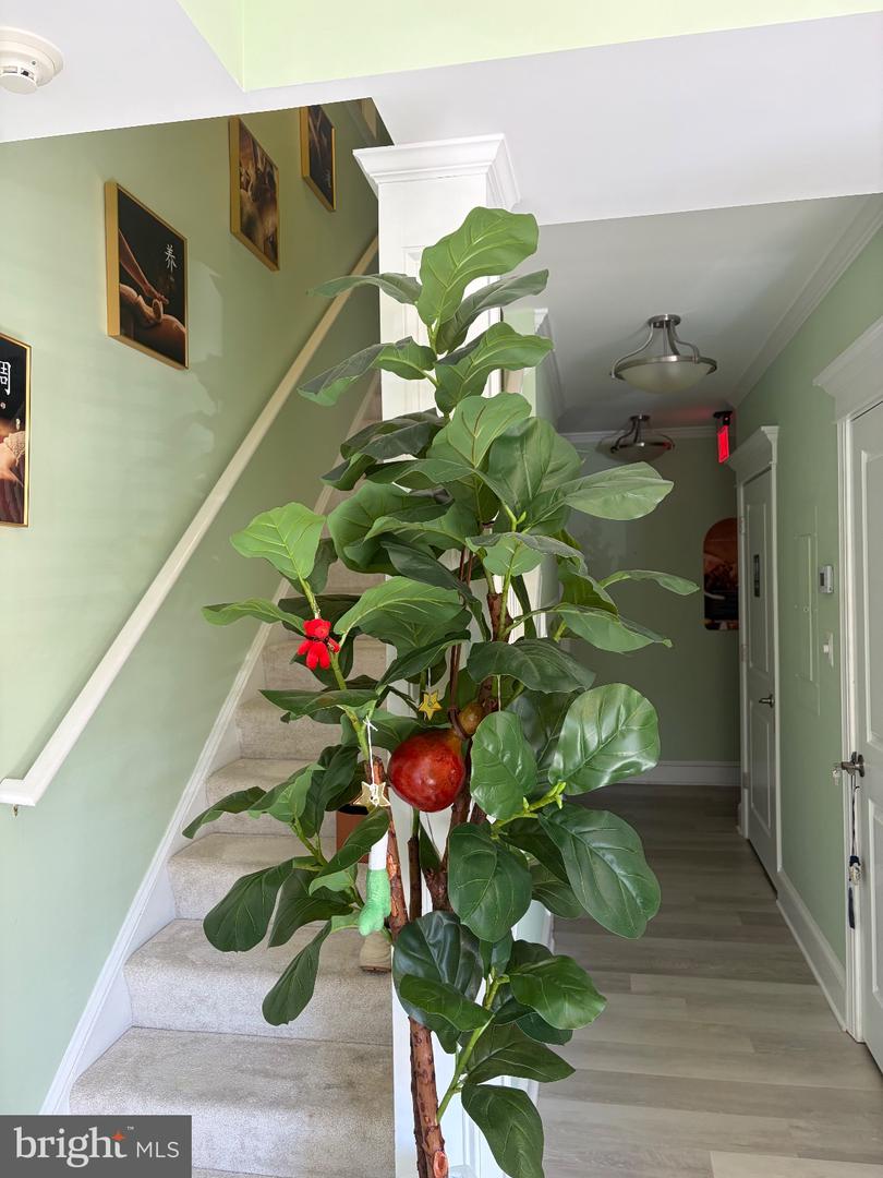 8937 Shady Grove Ct #26a Property Photo 12