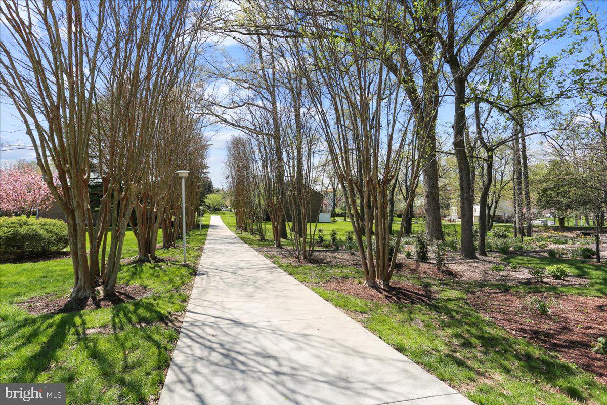 15115 Interlachen Dr #3-901 Property Photo 42