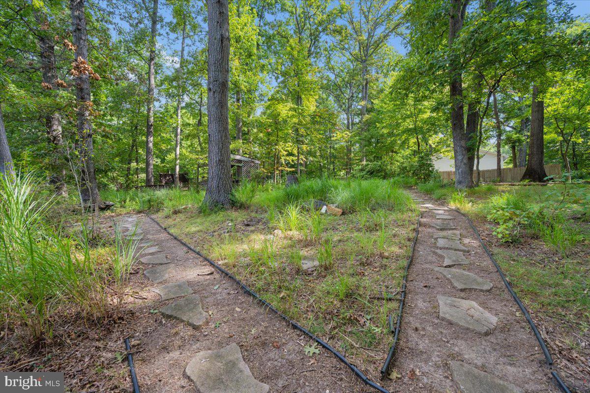 14701 Fireside Dr Property Photo 66