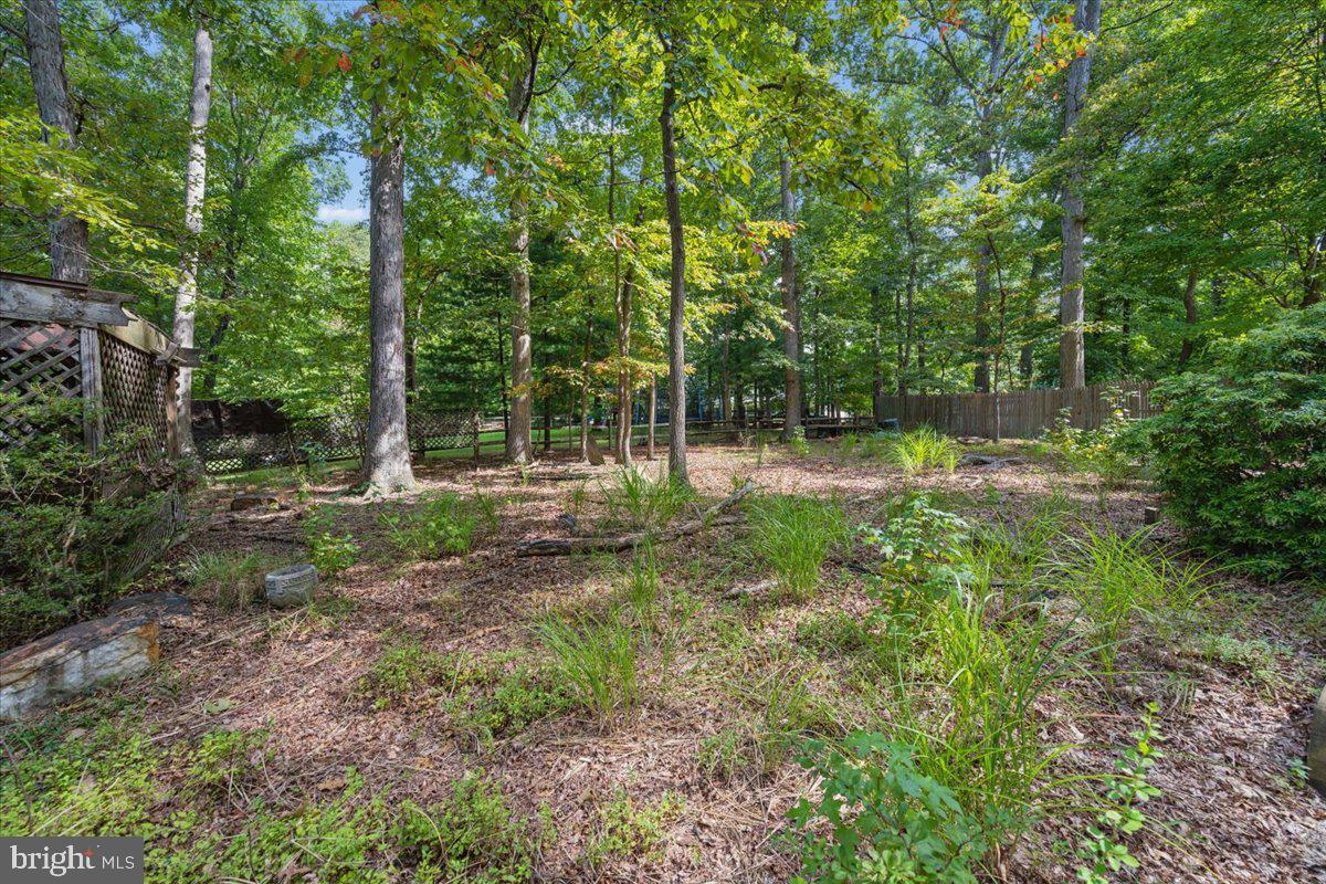 14701 Fireside Dr Property Photo 67