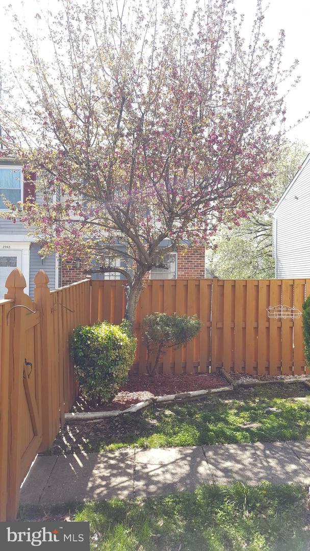 2939 Shepperton Ter Property Photo 29