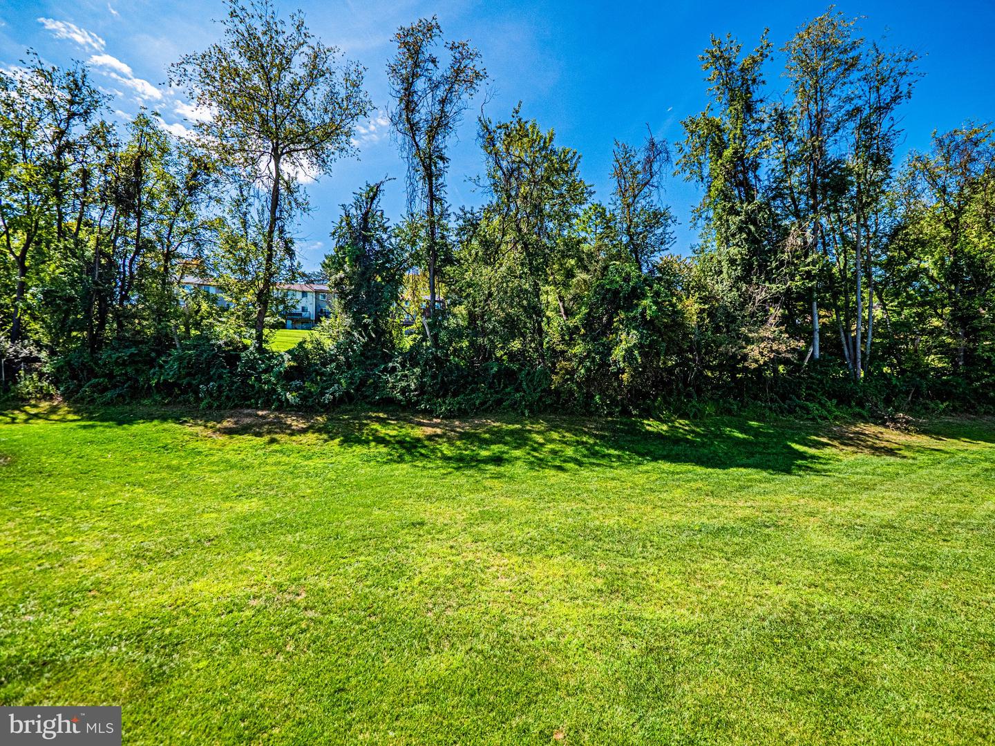 9530 Nature Trl Property Photo 11